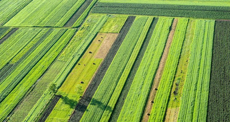 agrocultuur
